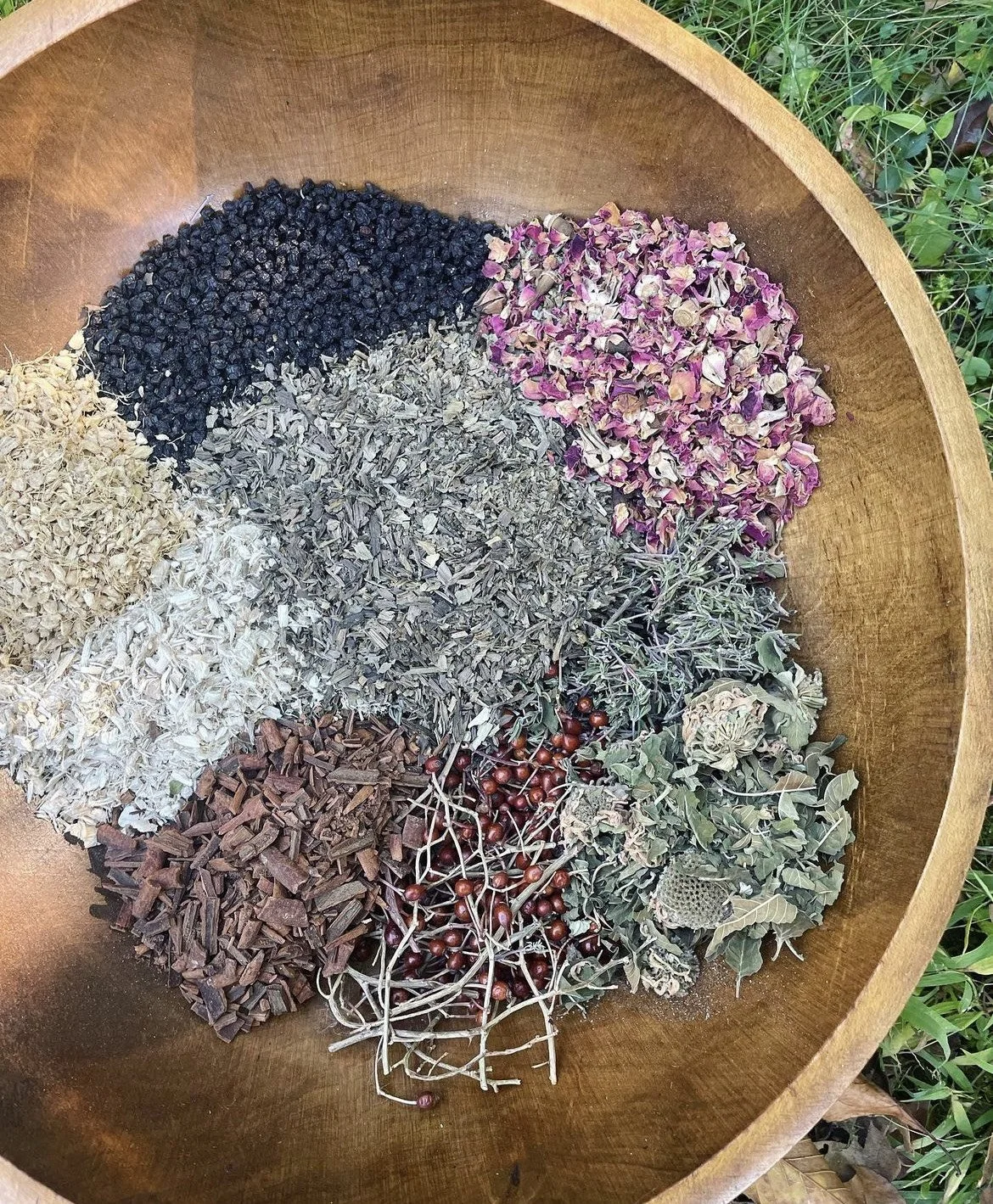 immune tea 1.jpg