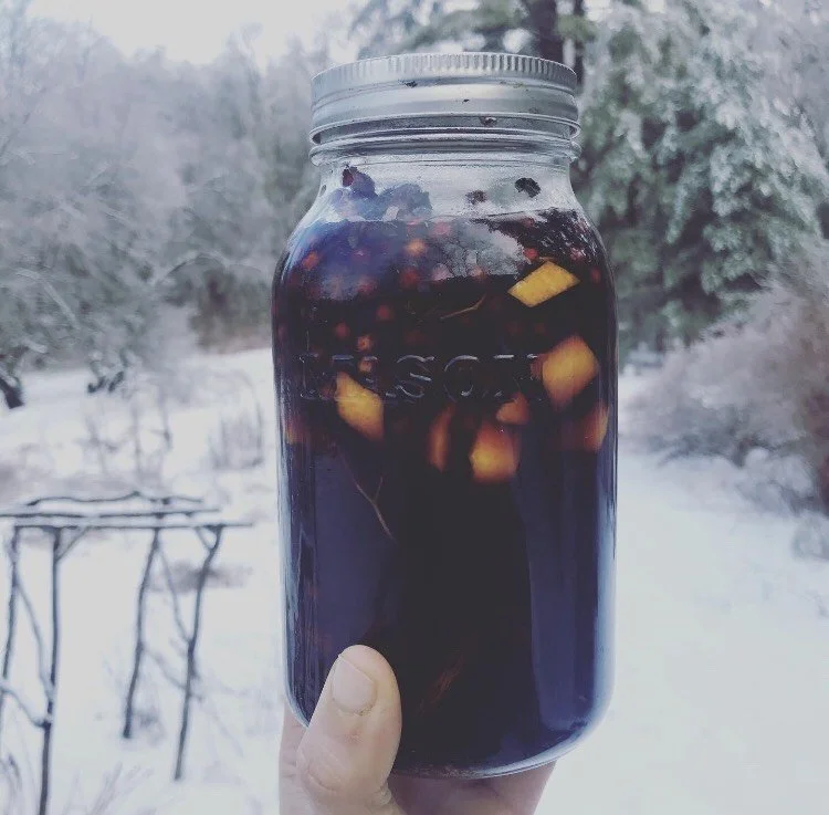 elderberry winter warmer cordial.jpg