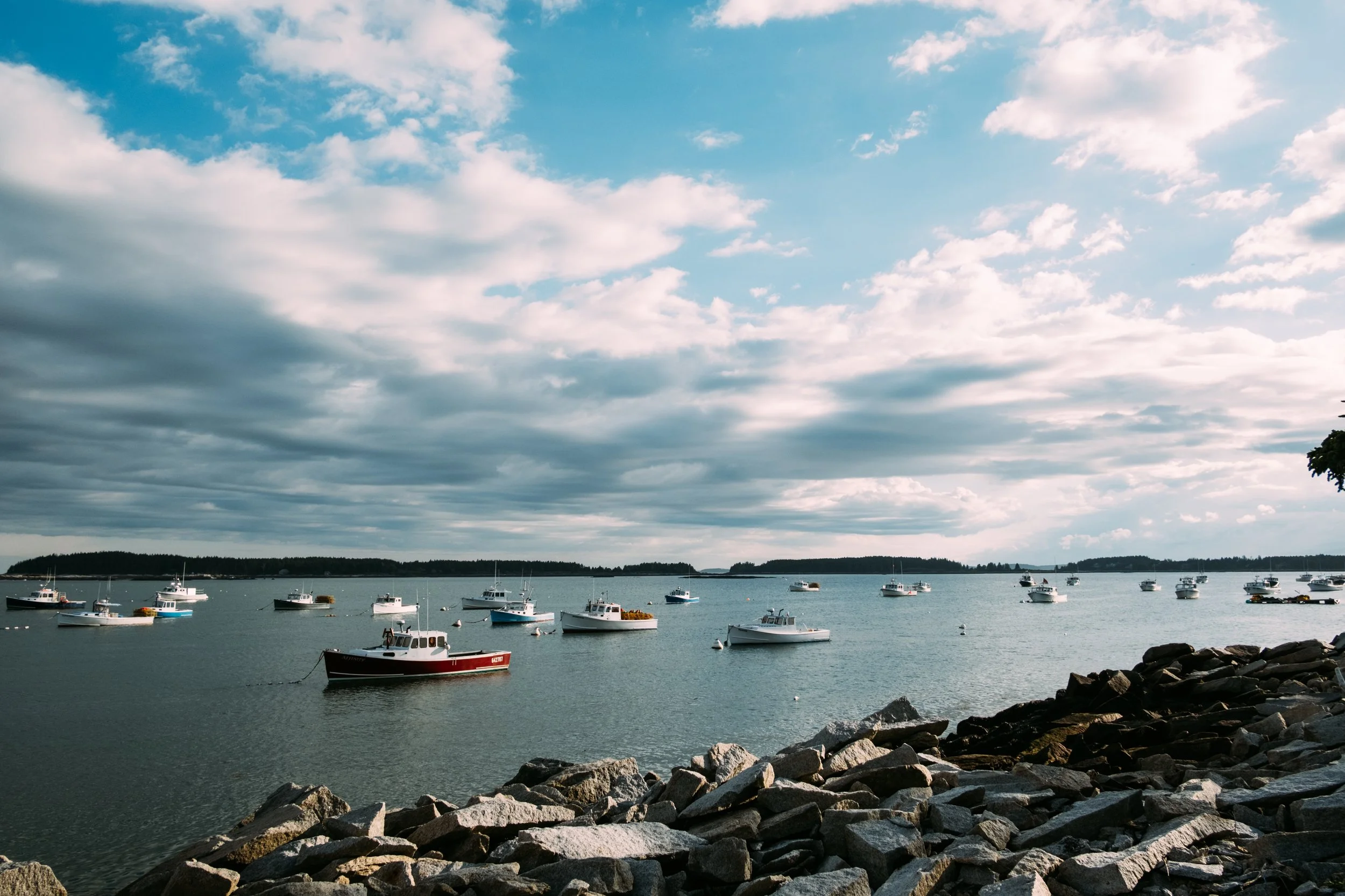 The tidal cove at high tide, a short walk from the farmhouse in Friendship, Maine.