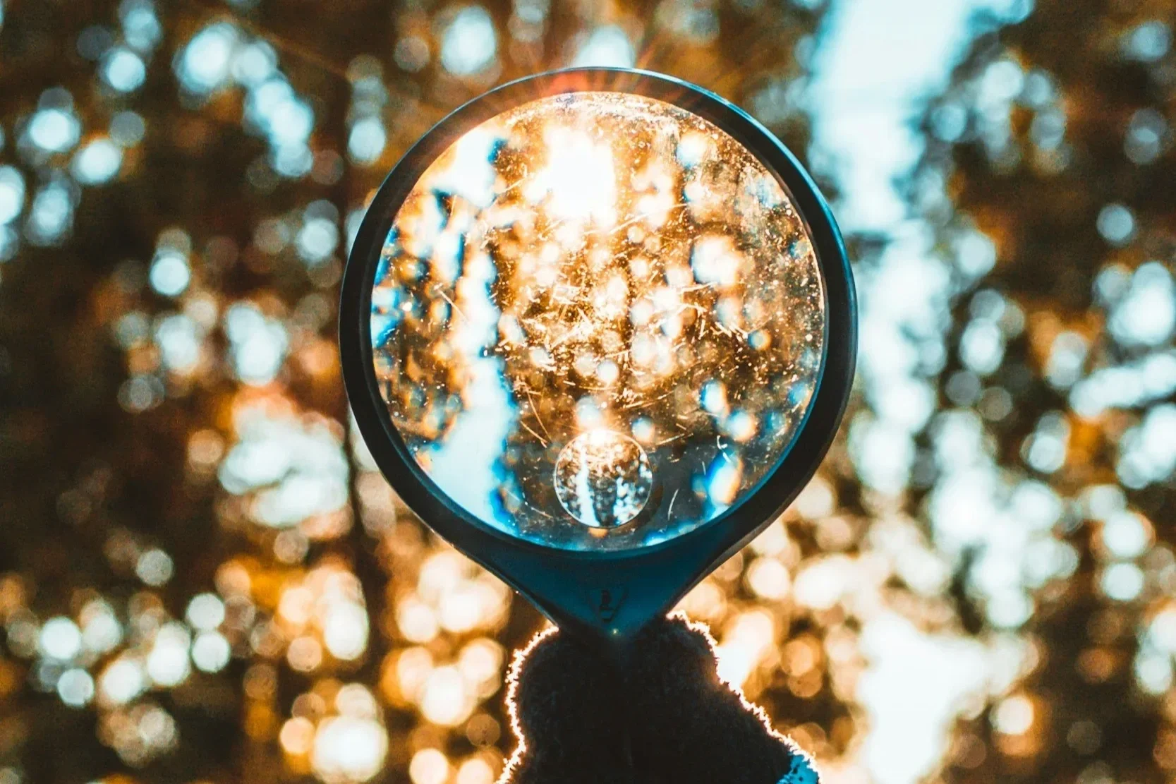 The Overlap of ADHD and Autism in Adult Women: How It Presents and How It Gets Missed