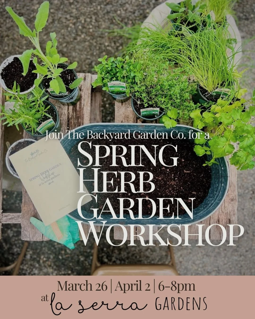 IG Launch Final-4.jpg