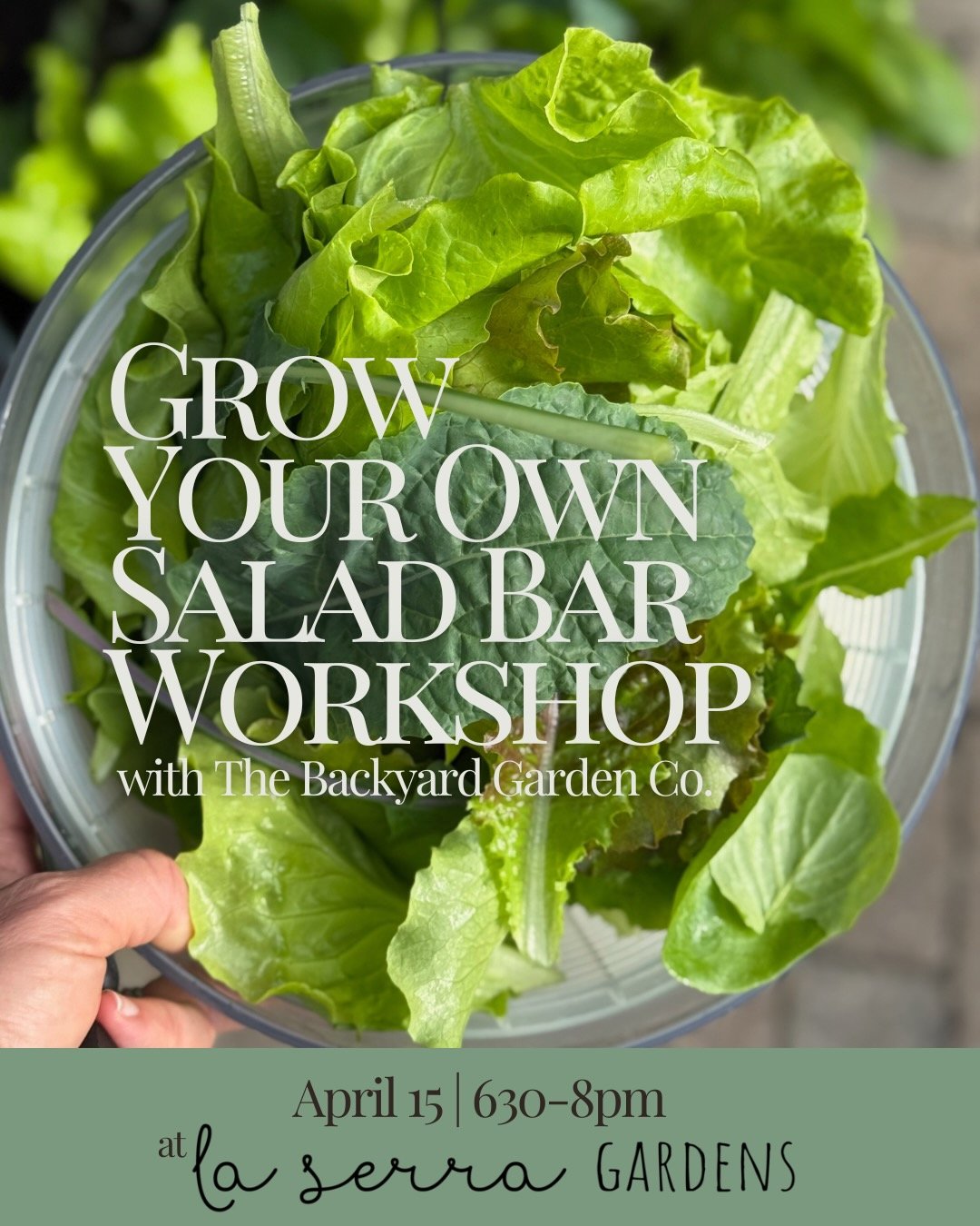 IG Spring 2026 (2).jpeg