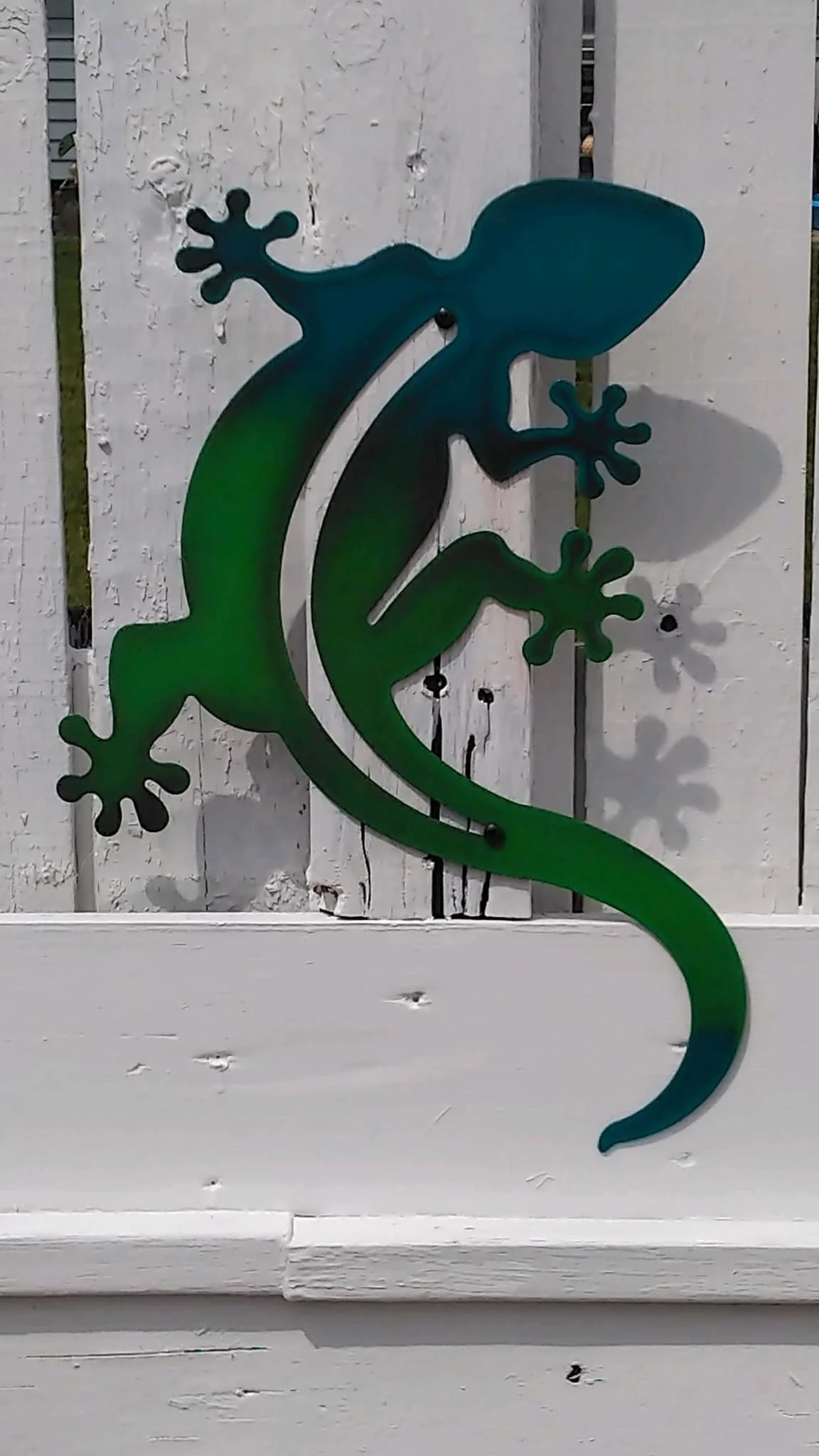 lizard.jpg
