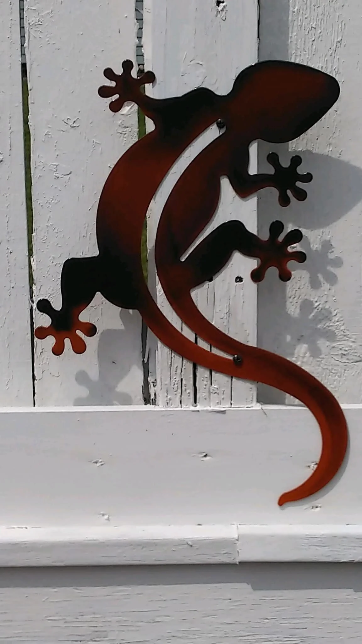 lizzard.jpg
