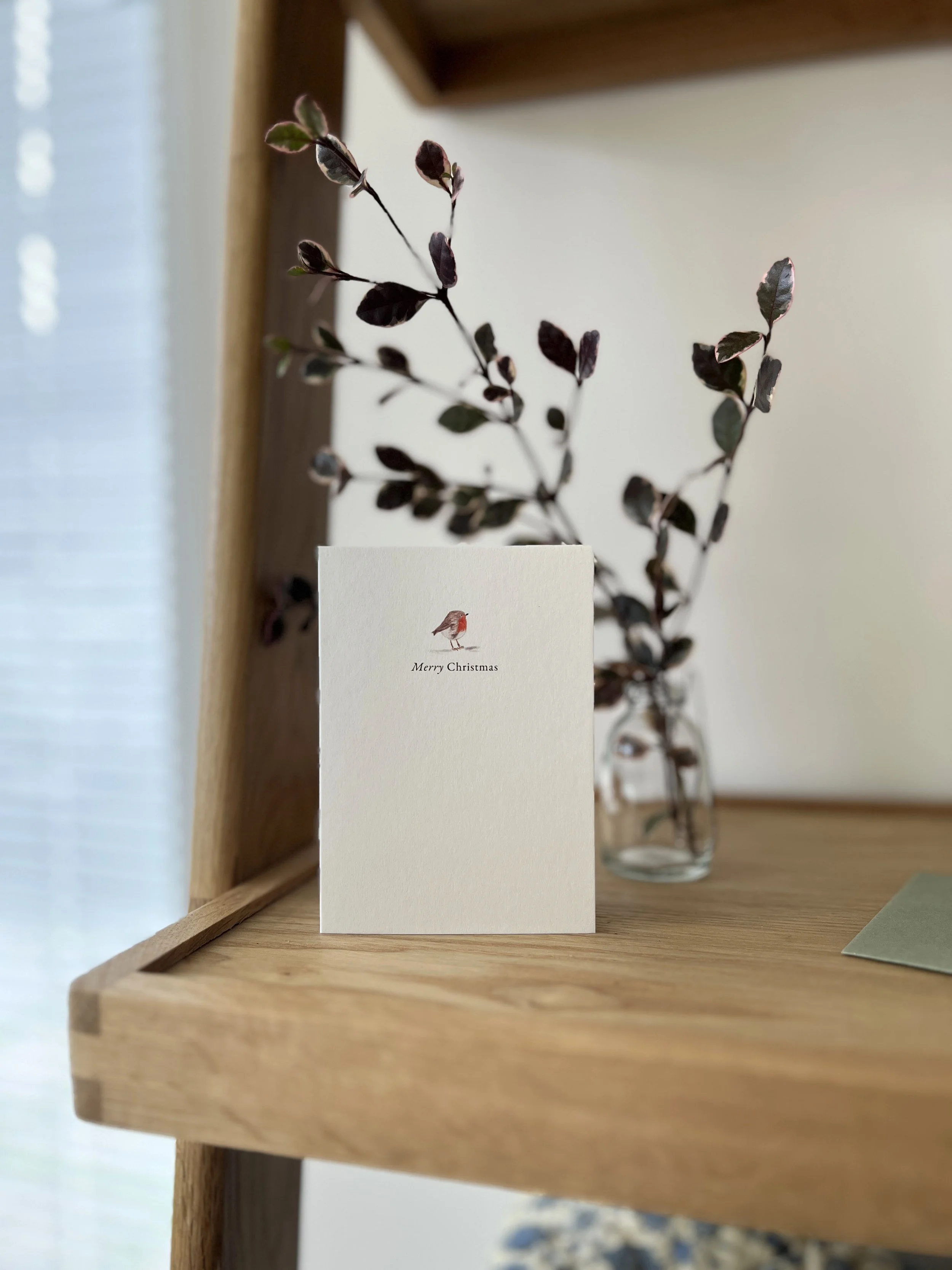 robin-card-on-shelf.jpg
