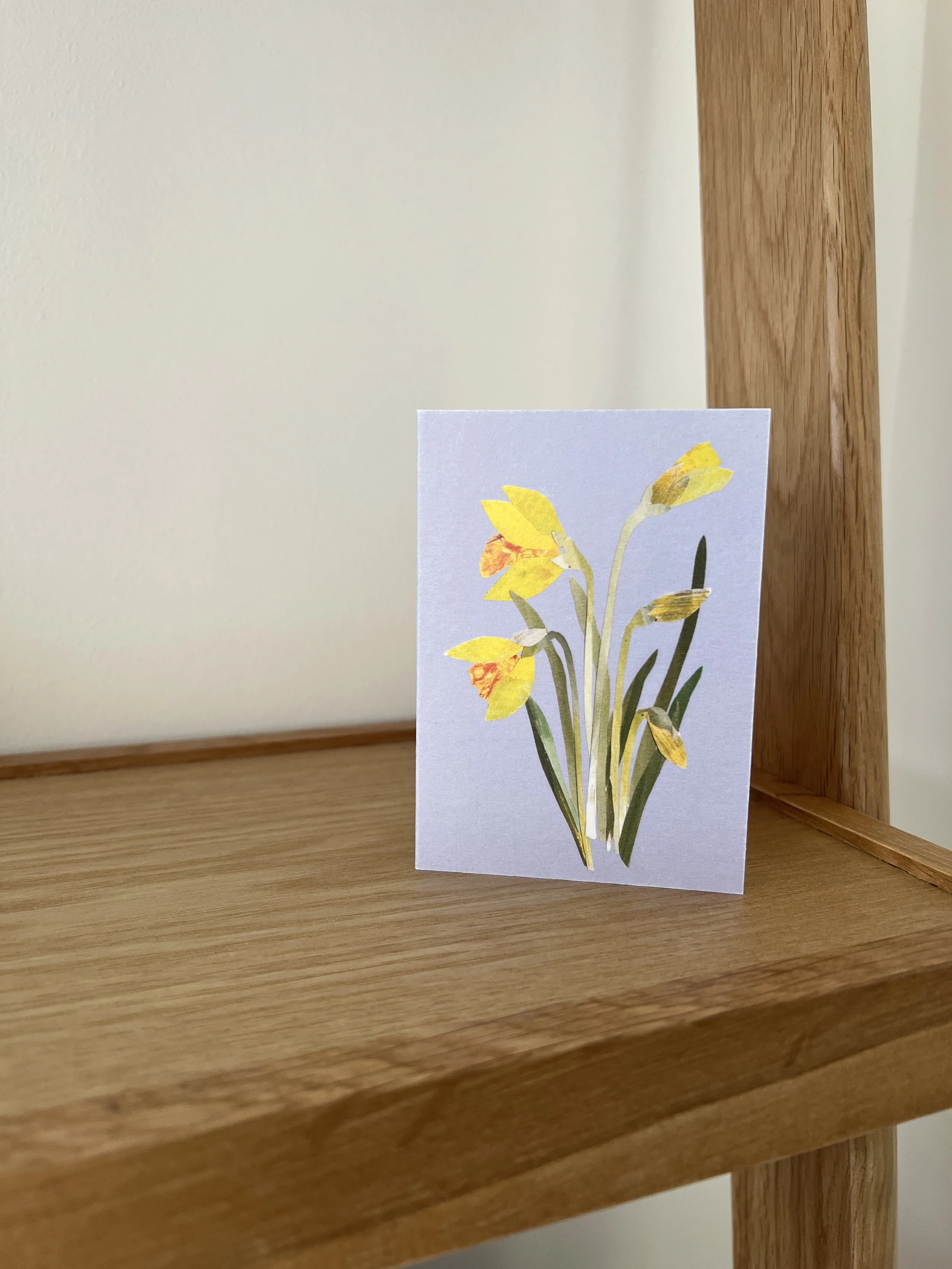 daffodil-card-shelf.JPG