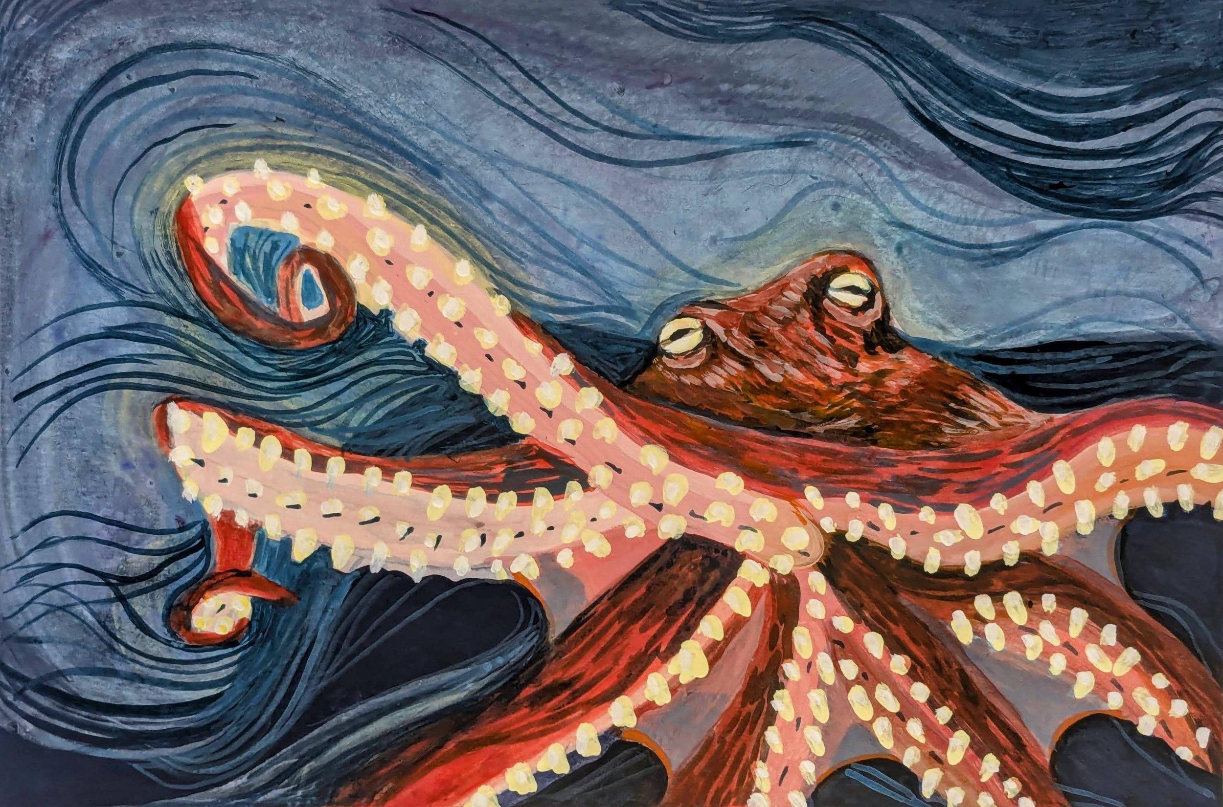Octopus portrait