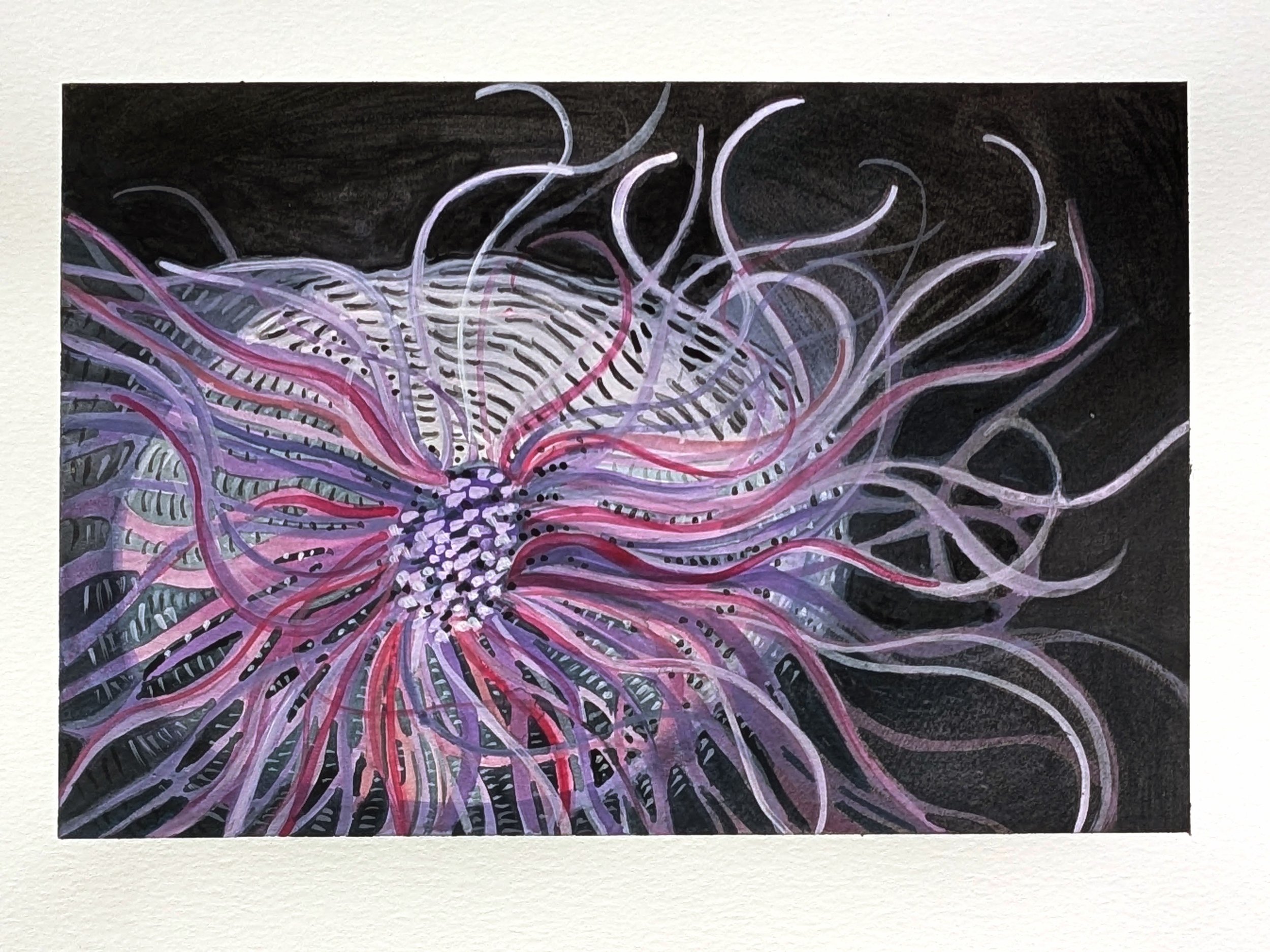 Ocean Series Anemone Purple
