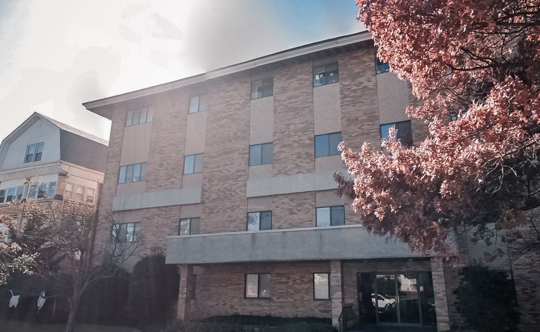 Screenshot 2024-12-11 at 11.42.57 AM.jpg