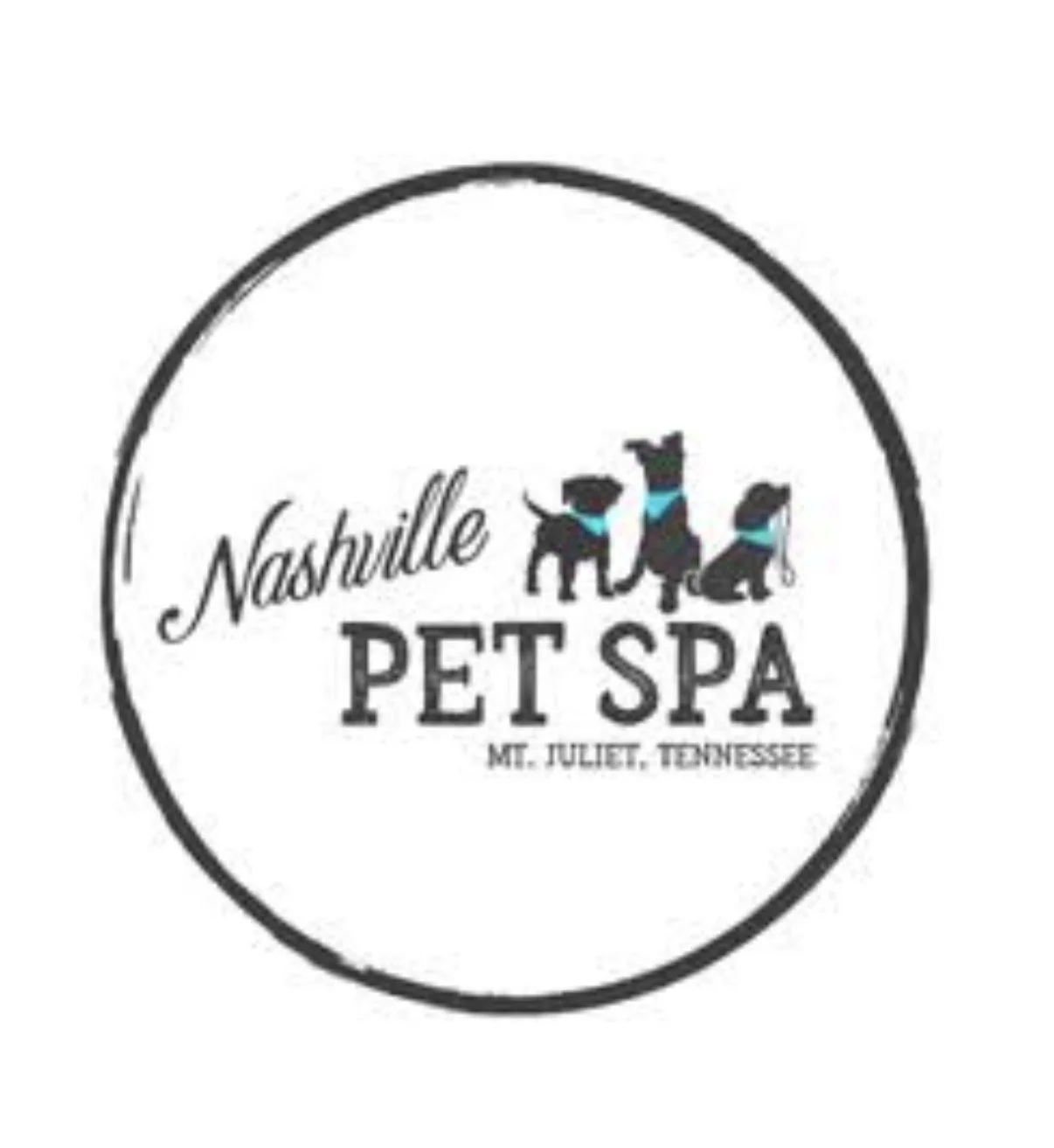 Nashville Pet Spa.jpeg