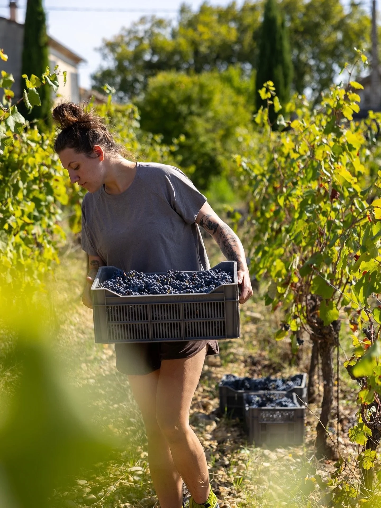 When it rains, we wine 🍷 And, we really love on our parking lot ❤️ Park close, stay awhile ❤️