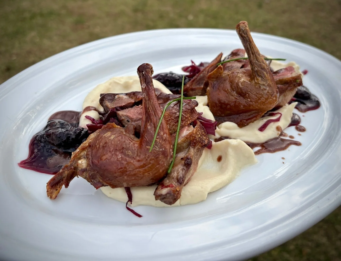 👀Do you see what I see?👀

Roasted Squab with celeriac, port glazed cabbage, blackberry jam, and squab jus. 

Salmon Rillettes with fine herbs, salmon roe, and sourdough tartines. 

Only serving this weekend and while supplies last! 🍽️ Passez un bo