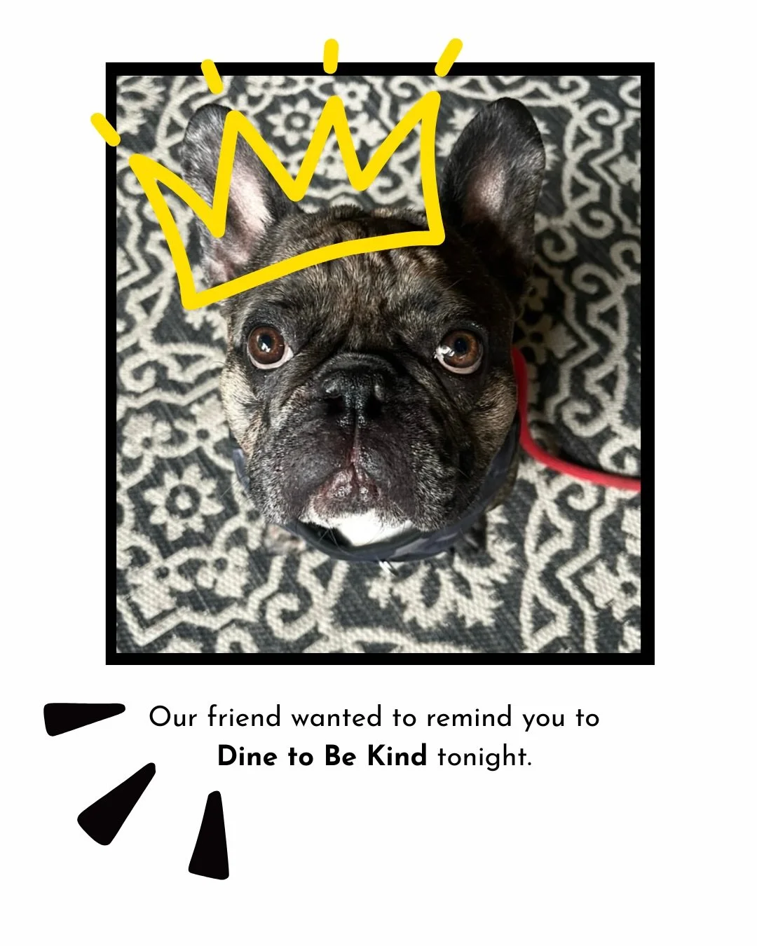 Tonight is the night! Asheville is coming together to support the animals that need us most. Dining with participating restaurants contributes to a community where every pet is safe, loved, and thriving. 

Join us April 7th for dine in or takeout to 