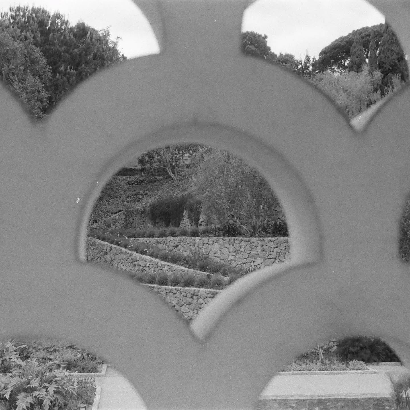 Weekly filler content vol 3

Shot on:
Nikon FM2N
Nikon 28mm f/2.8
Kentmere Pan 400

#filmphotography #shotonfilm #filmisnotdead #california #blackandwhitephotography #photography