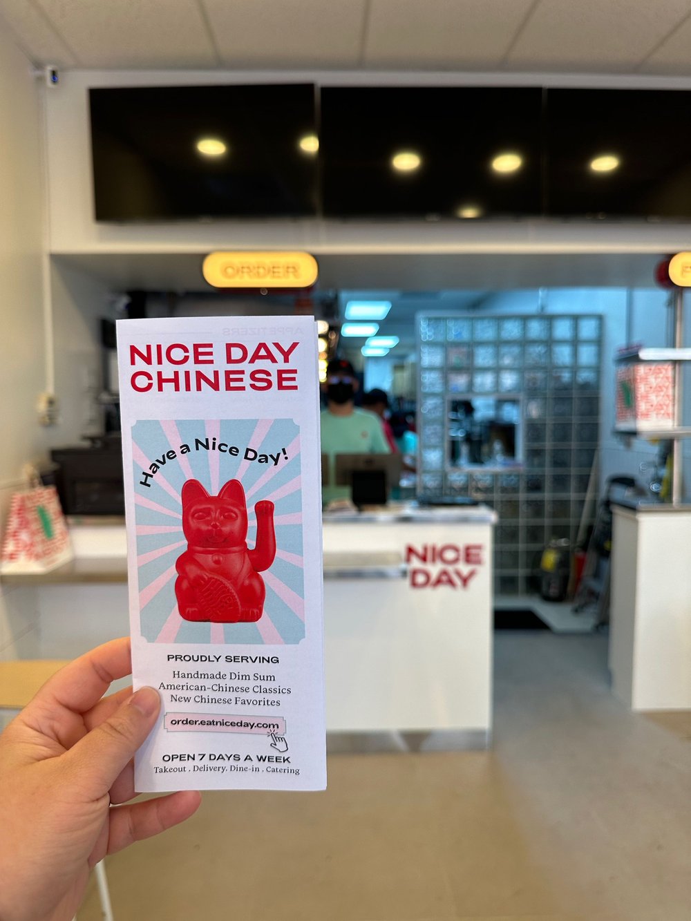 Nice Day Chinese Plainview NY — Chinese Food Delivery, TakeOut