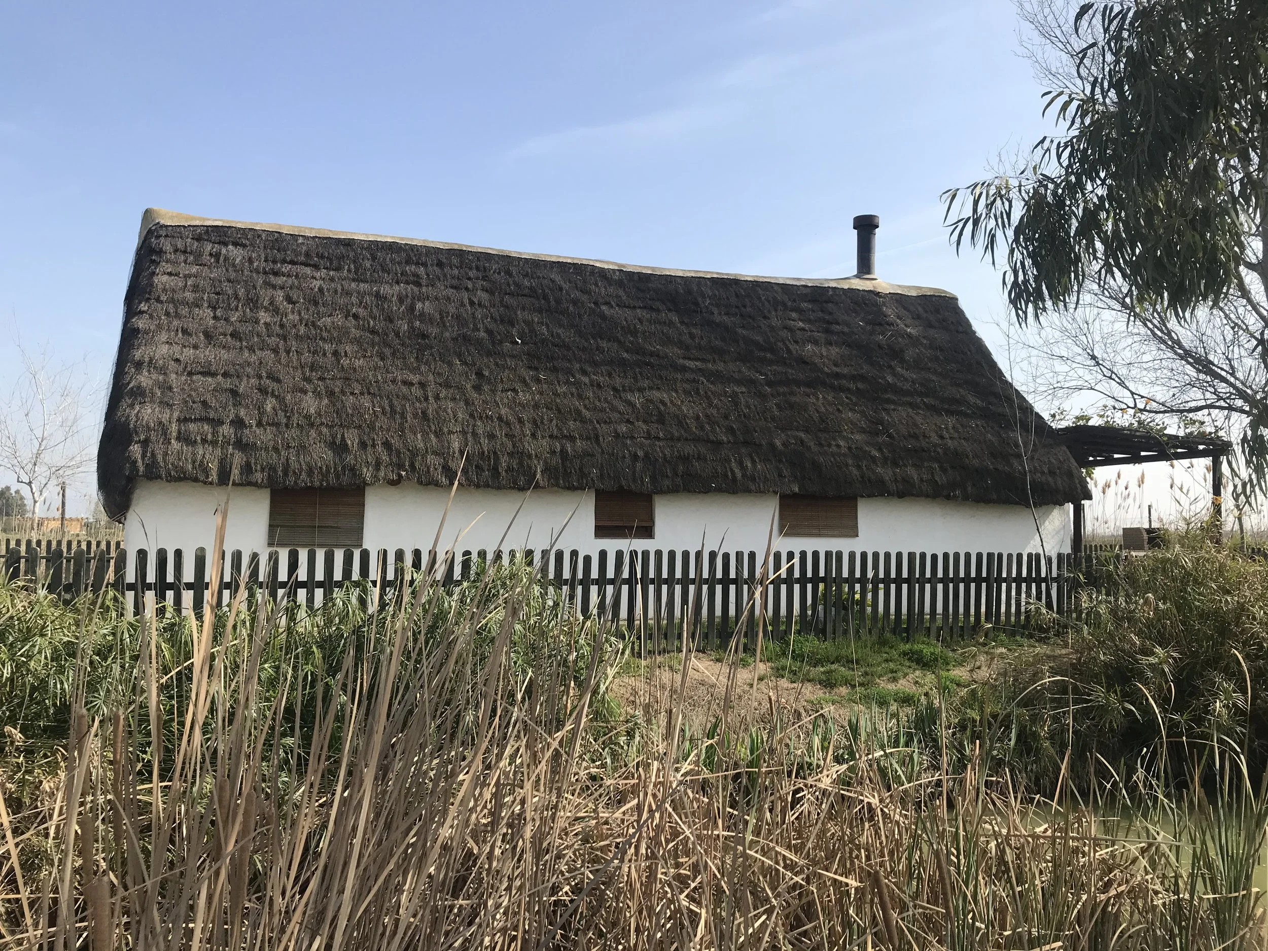 My Cloud IMG 2445.JPG