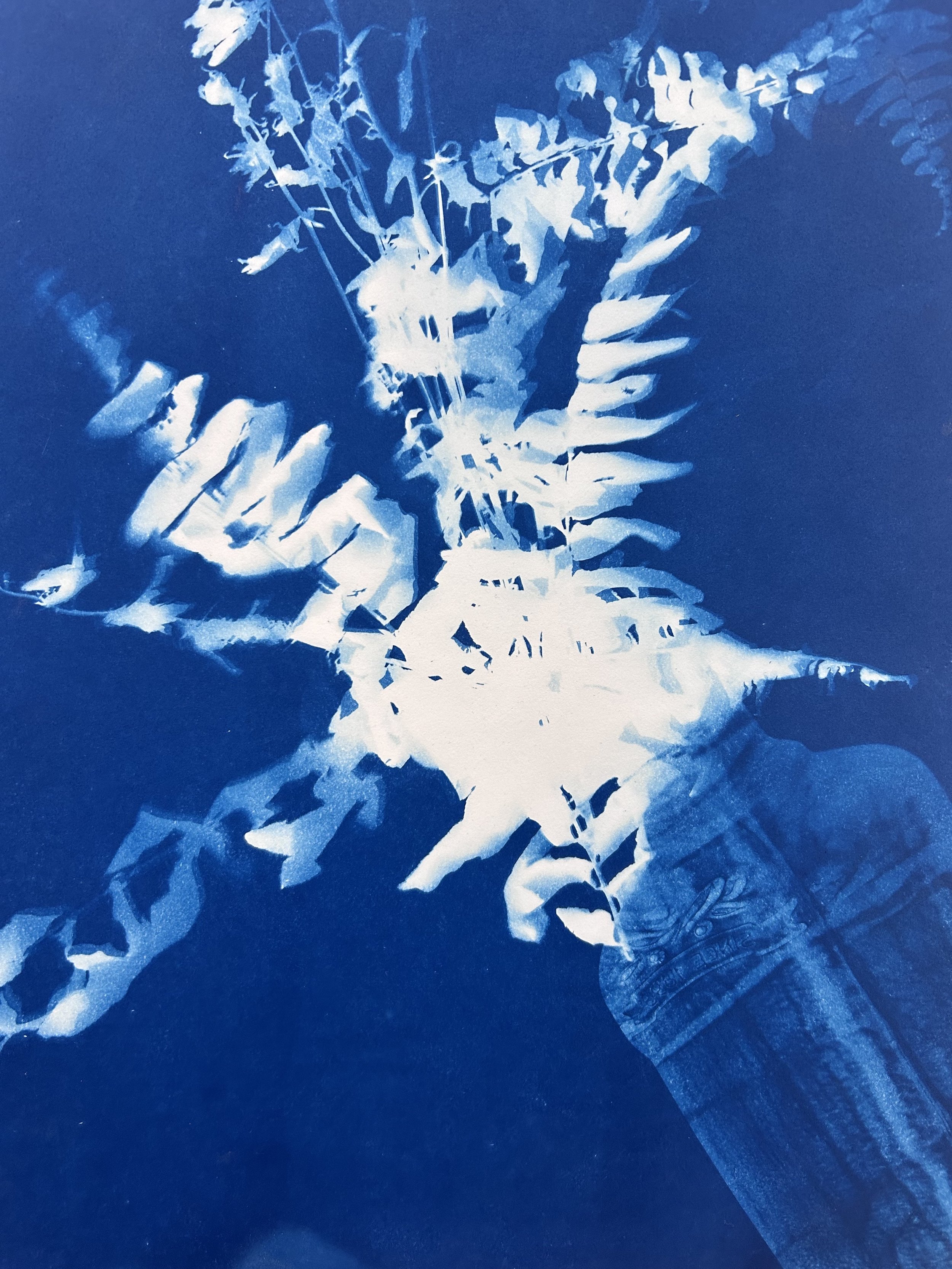 cyanotype