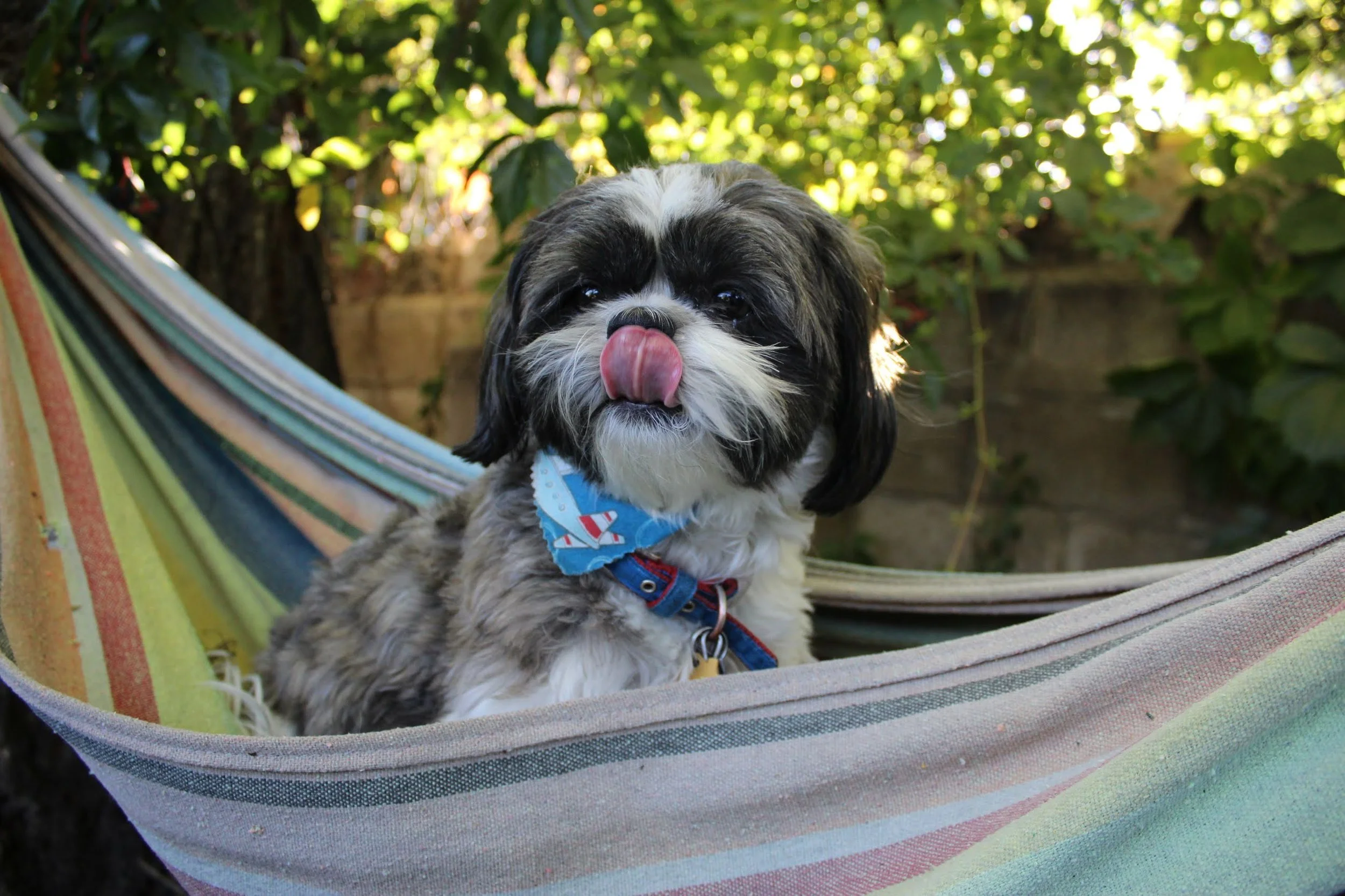 colorado springs | september 2017 