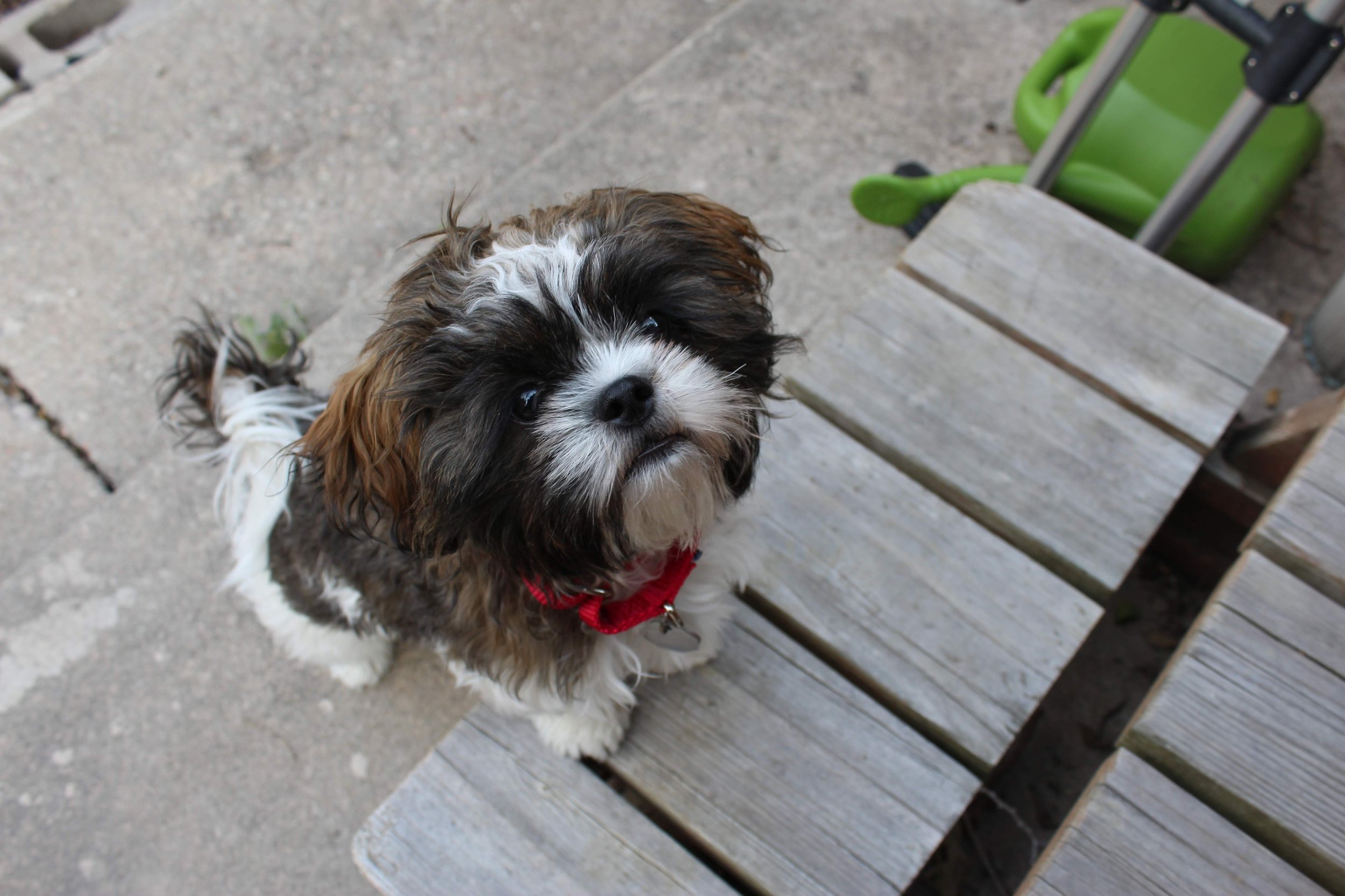 colorado springs | august 2015