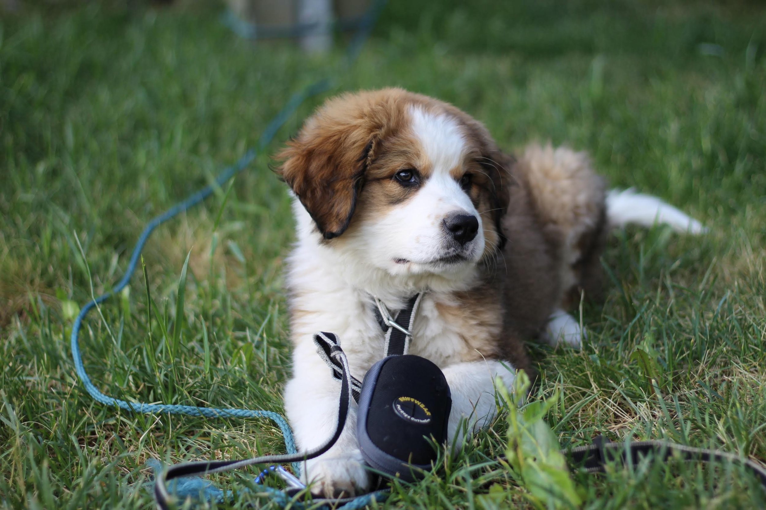 breckenridge | july 2017