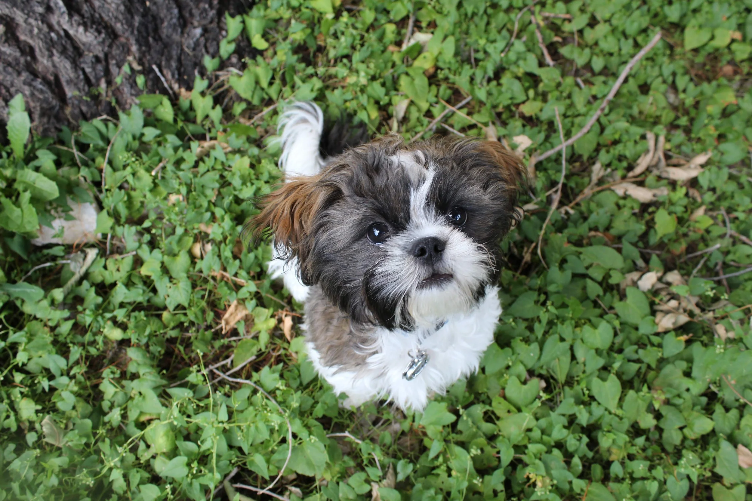 colorado springs | august 2015