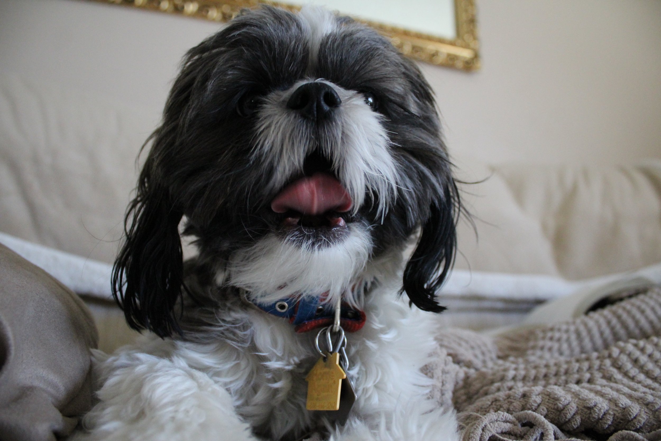 colorado springs | november 2016