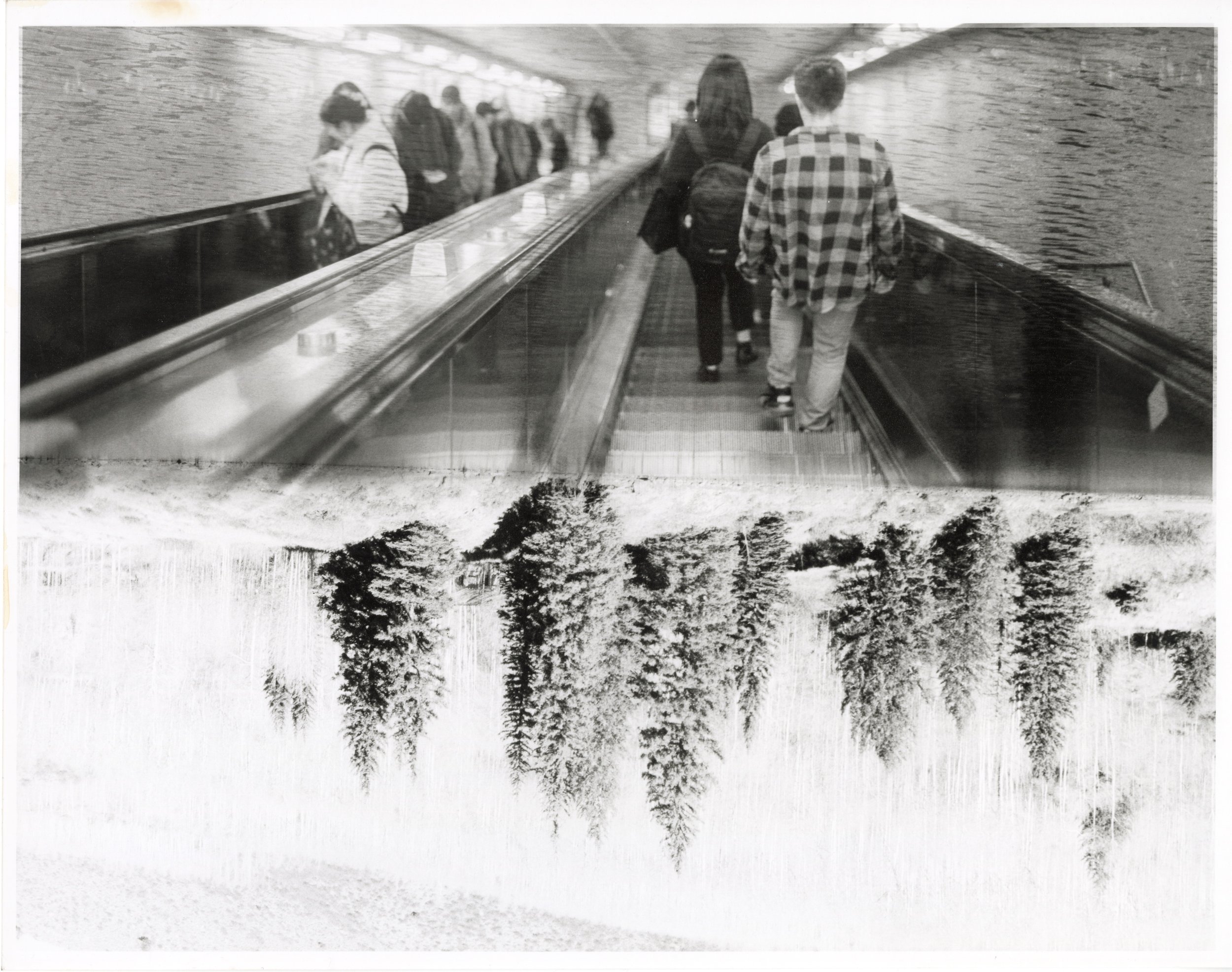 The Descent into the Dream World