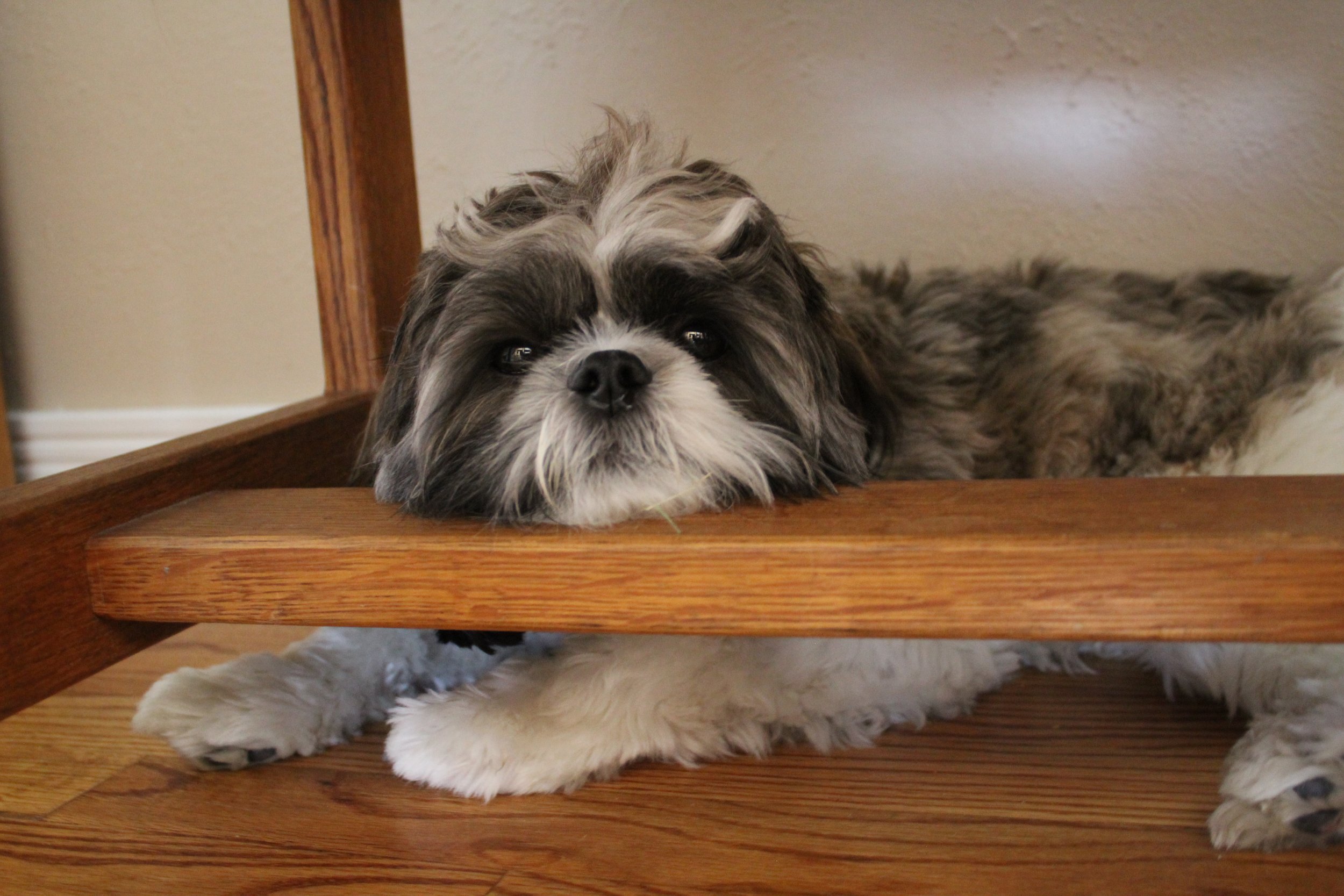 colorado springs | august 2016