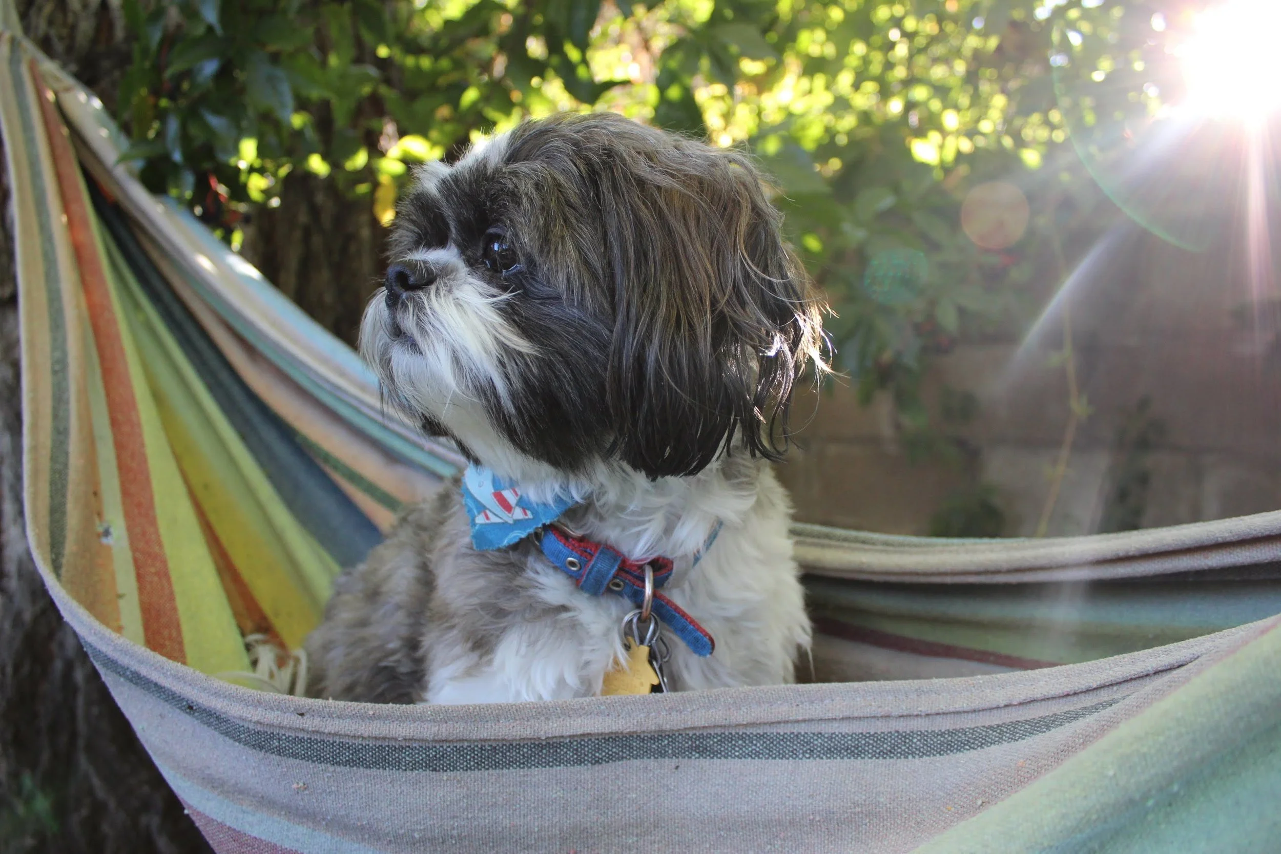 colorado springs | september 2017 