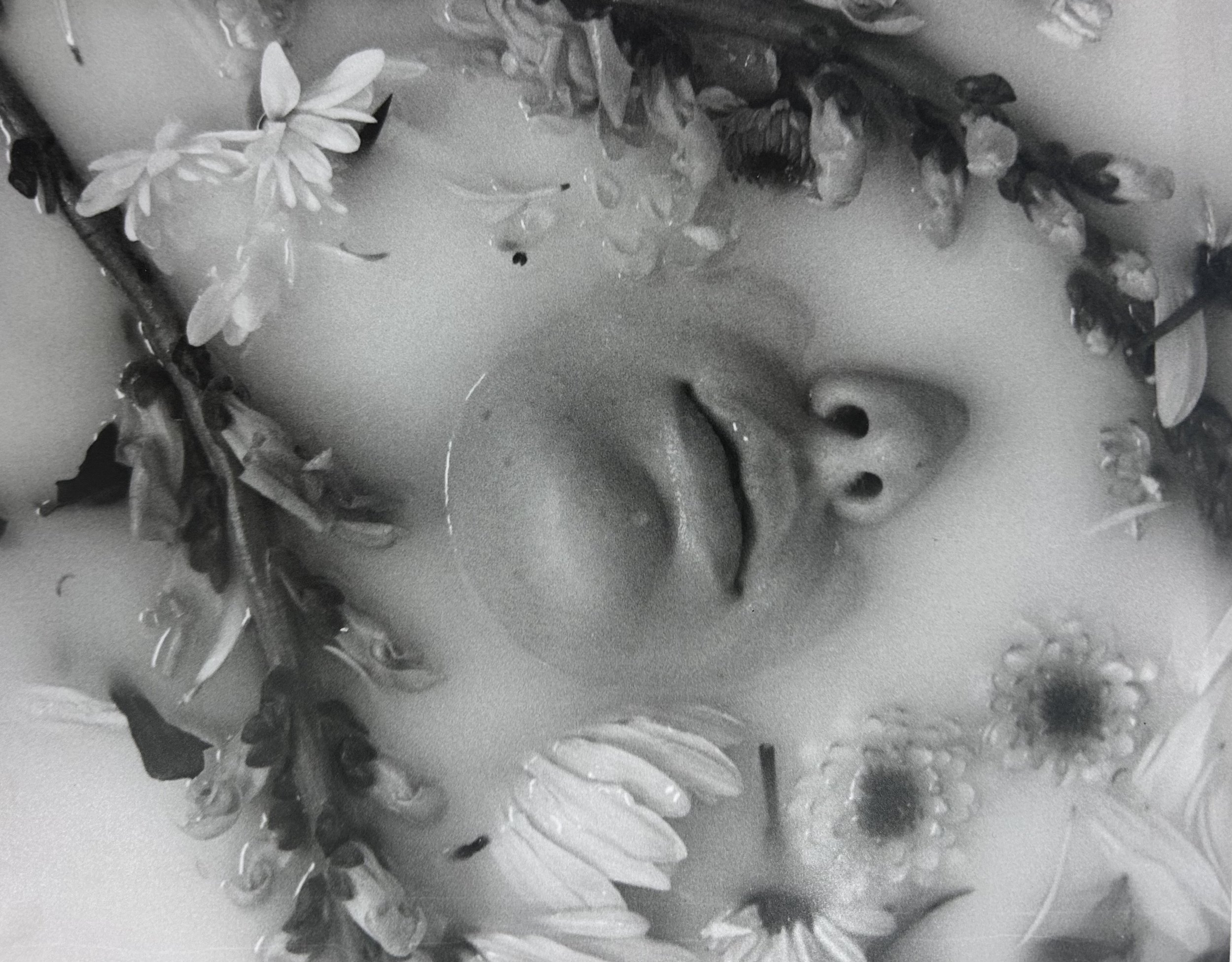 8x10 silver gelatin print on arista photo paper