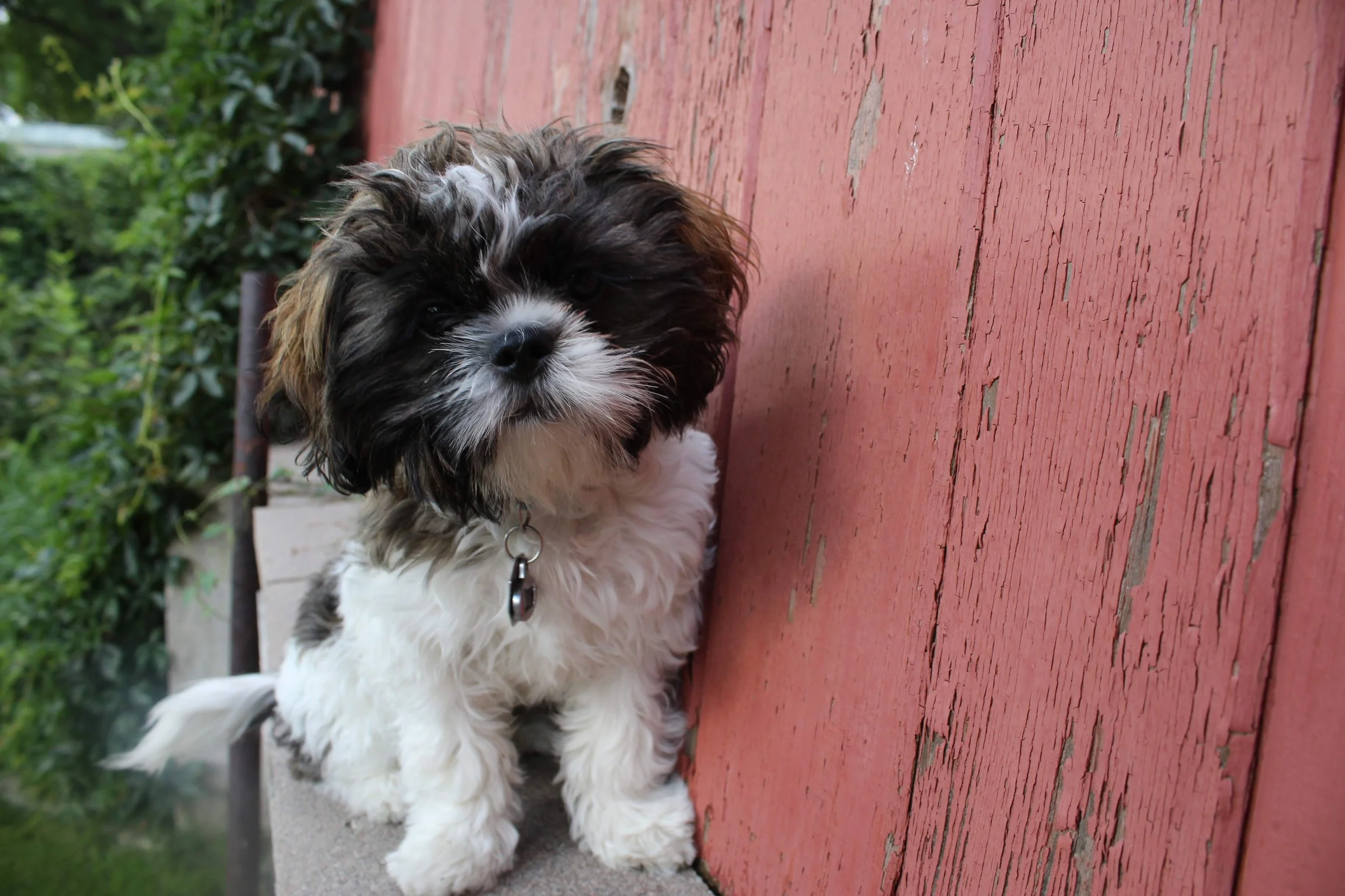 colorado springs | august 2015