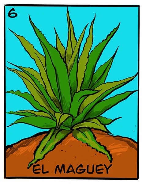 Loteria_Maguey LR.jpg (Copy)