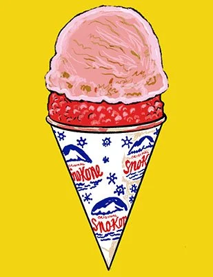 Snowcone with Ice Cream 2-hr