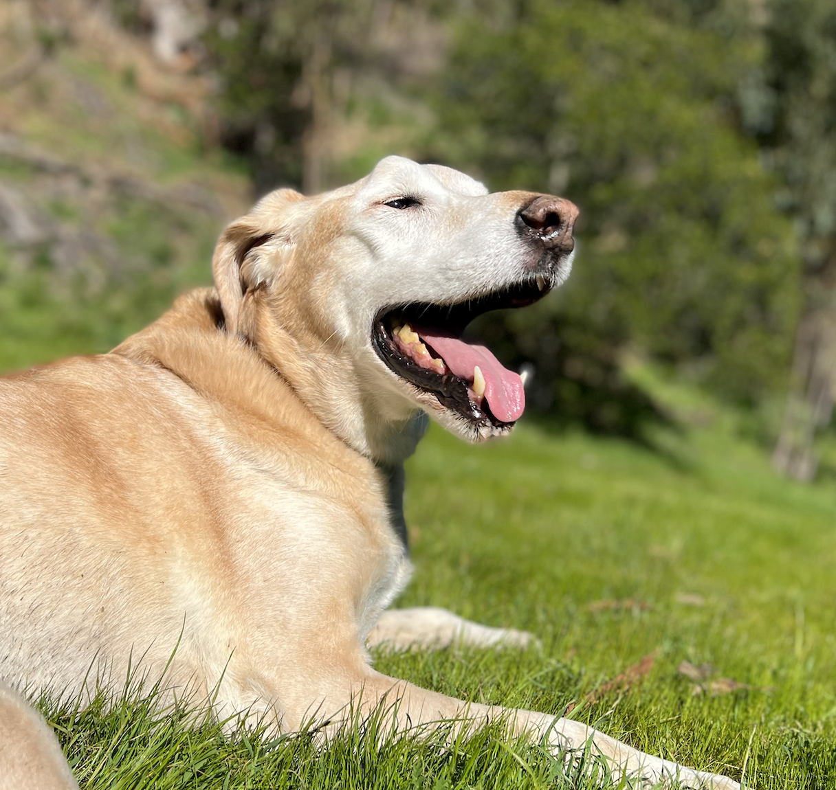 Screenshot 2023-08-01 at 8.03.52 PM.png