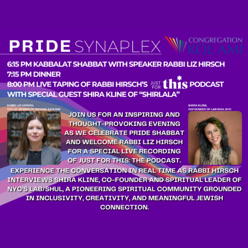 Pride Synaplex - Just for this Podcast w/ Rabbi Liz P.G. Hirsch