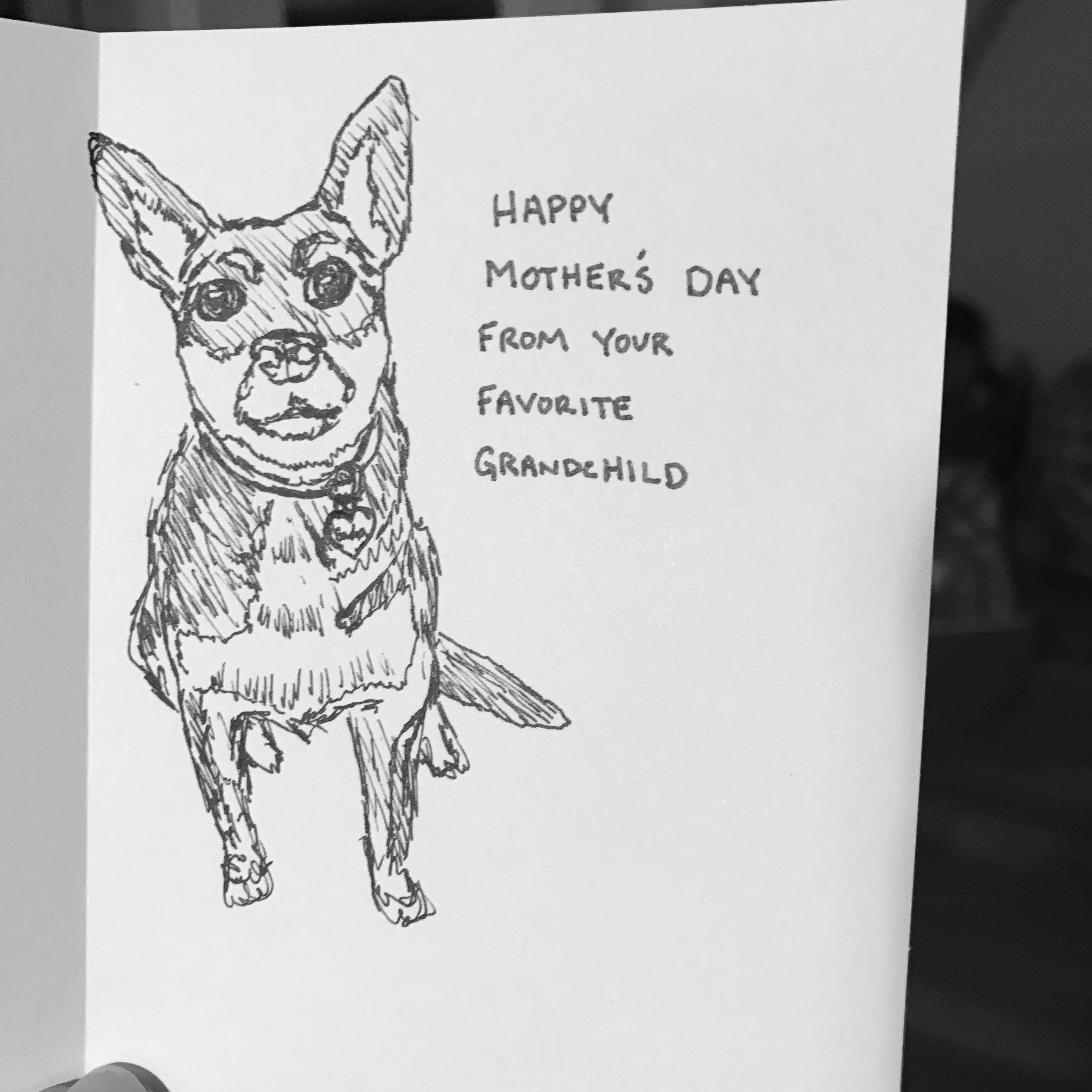 A drawing of a sitting small mixed breed dog with caption Happy Mothers Day from your favorite grandchild