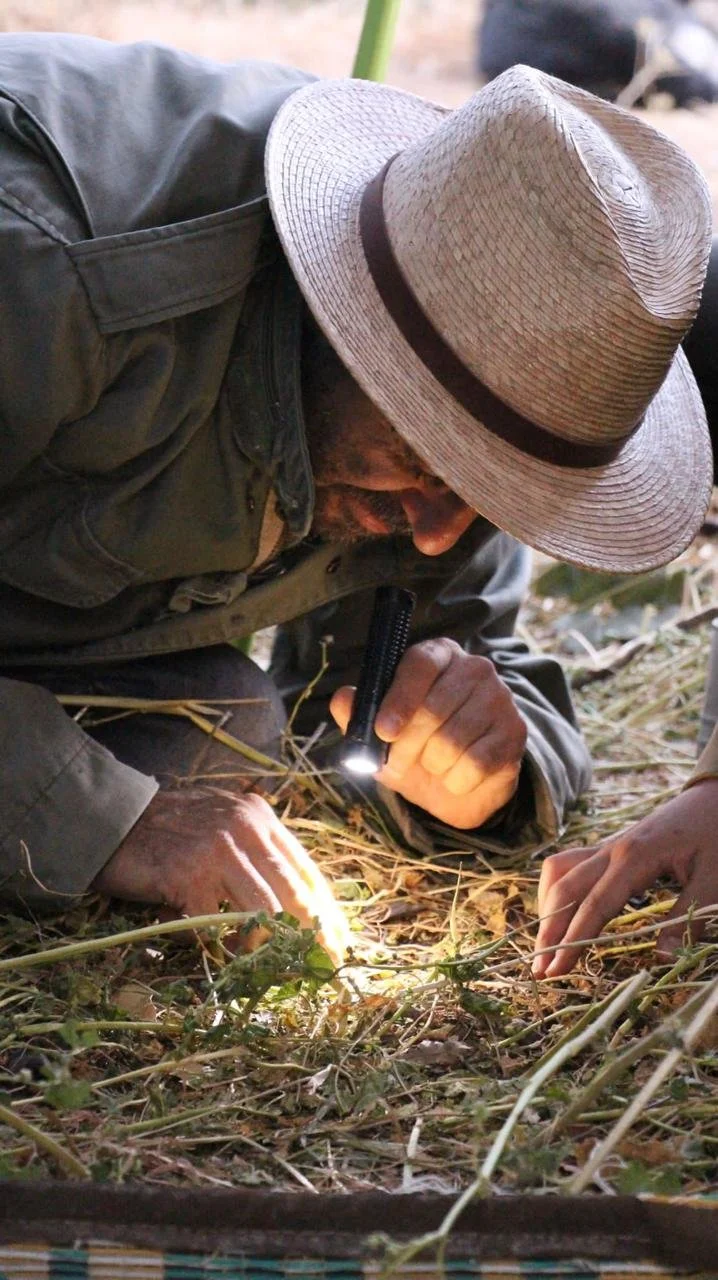 Cultivating a sustainable future through regenerative agriculture — Sky ...