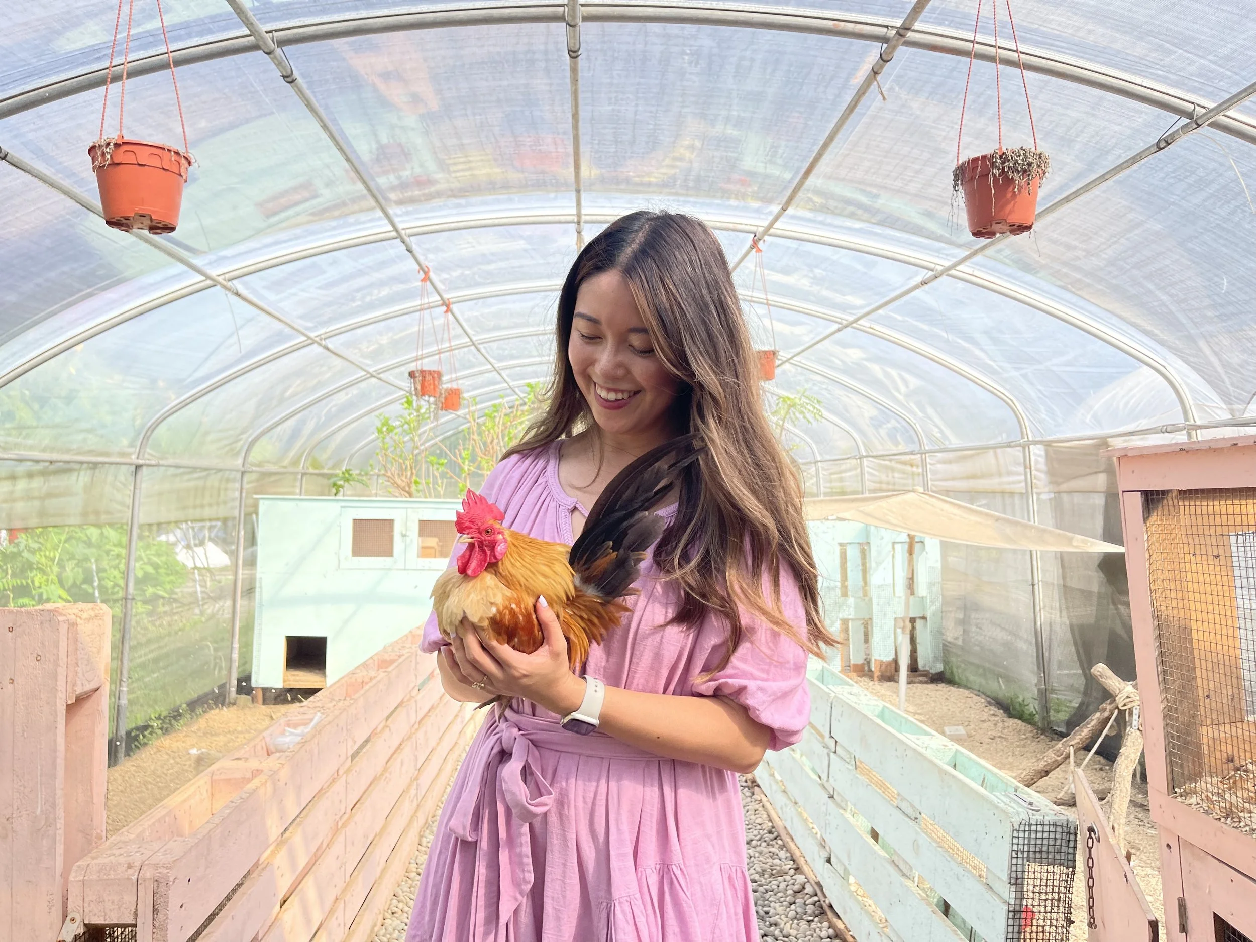 A Buzzling And Thriving Green Community Across Singapore Sky Farm Island