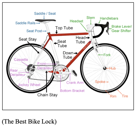 Saddle Height: A Factor for Optimal Conditions for a Comfortable and Robust Ride