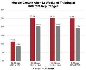 Rep Ranges — Mending Playbook