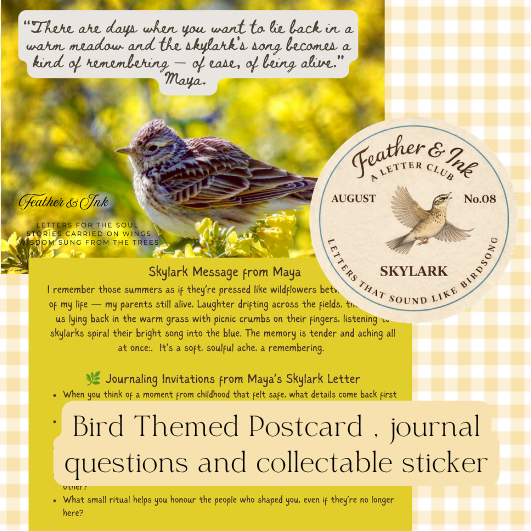 The Letter Club Monthly Subscription
