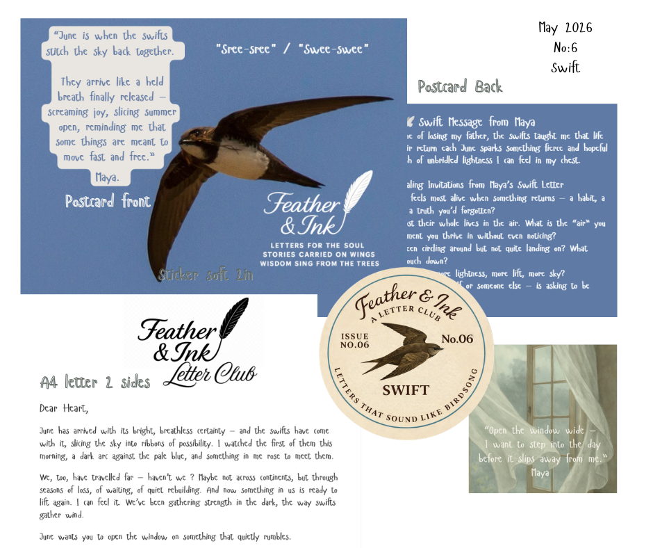 June - SWIFT no 6 .png