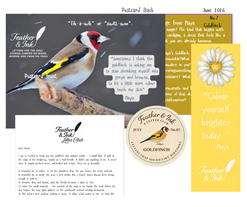 Copy of June - SWIFT no 6  (1).png