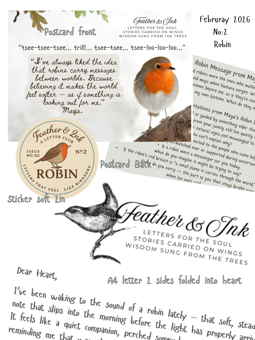 February  26 Robin.png