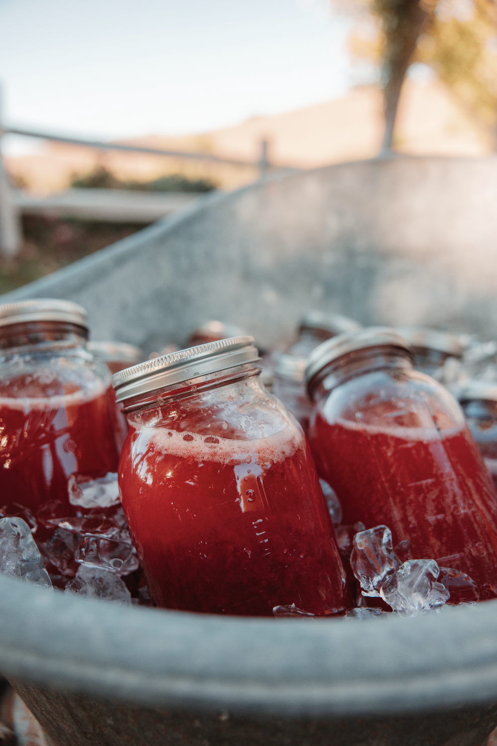 Screenshot 2025-12-30 at 1.49.04 PM.png