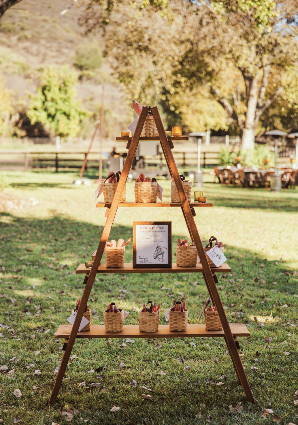 Screenshot 2025-12-30 at 1.49.26 PM.png