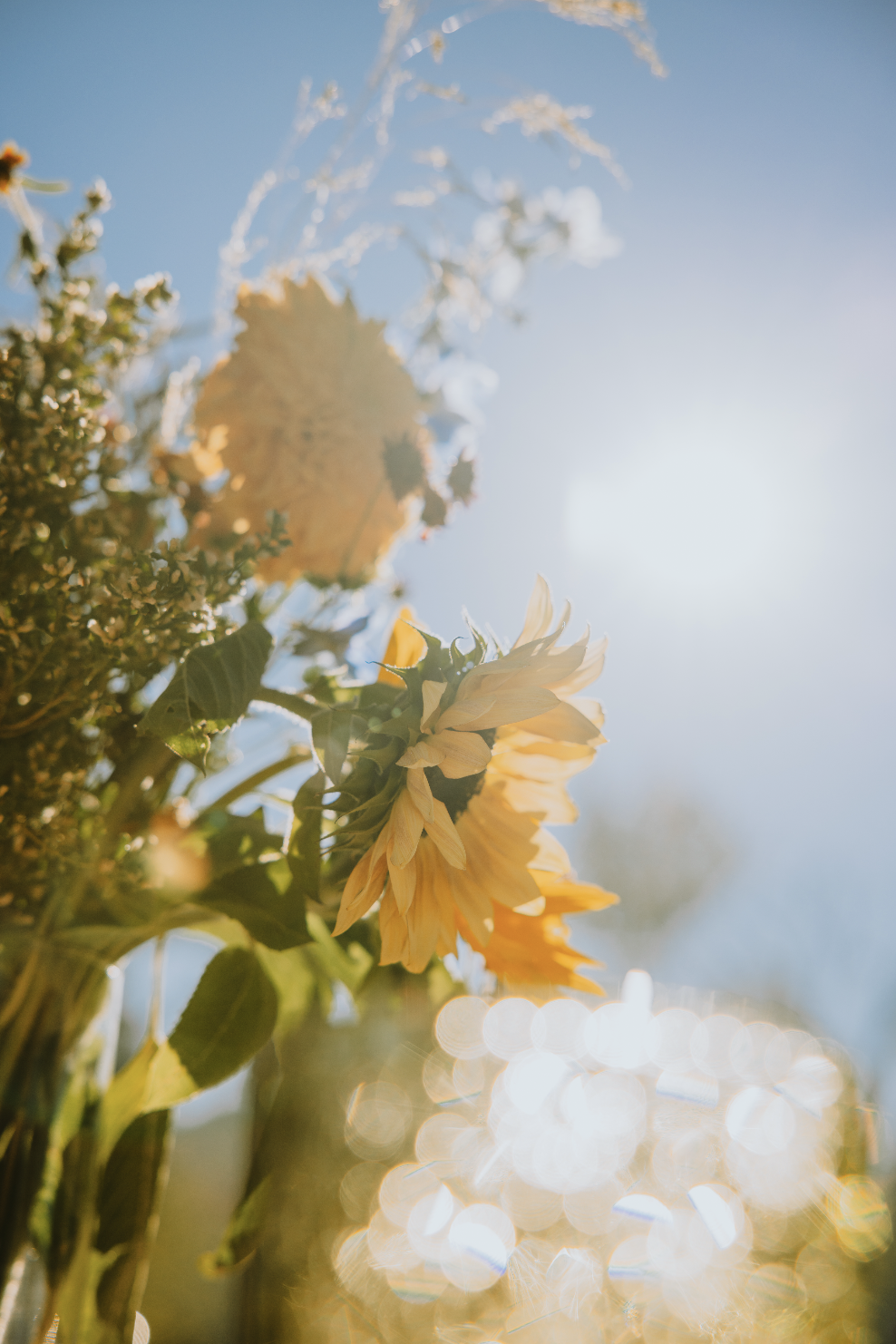 Screenshot 2025-12-30 at 1.51.39 PM.png