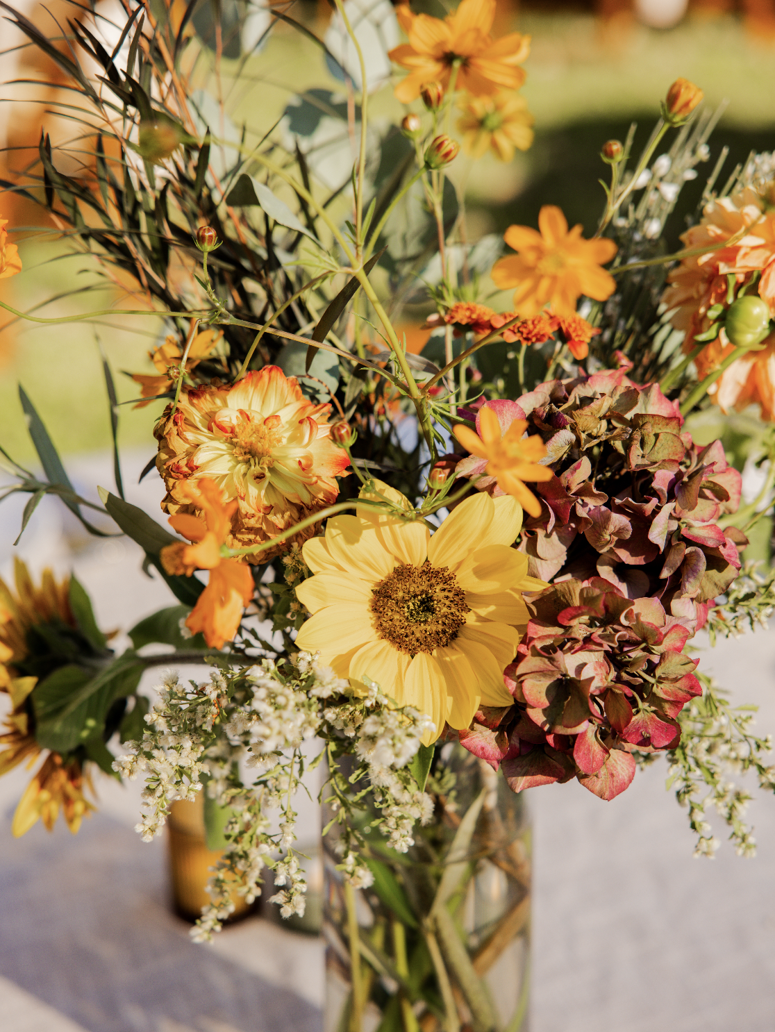 Screenshot 2025-12-30 at 1.51.26 PM.png