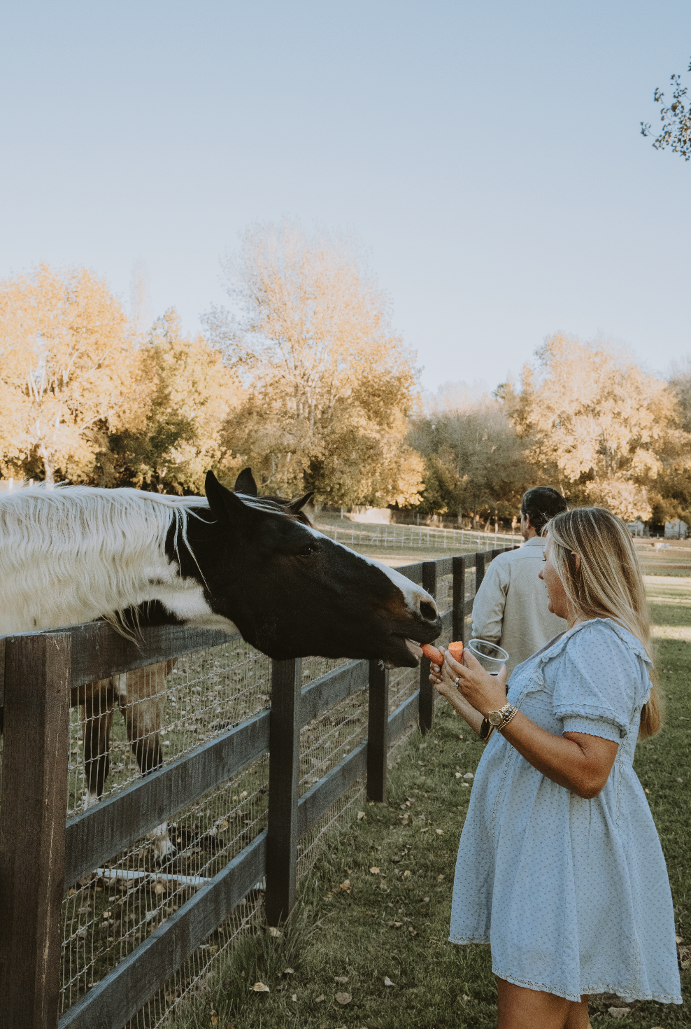 Screenshot 2025-12-30 at 2.03.13 PM.png