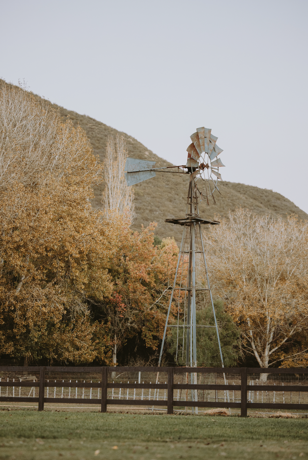 Screenshot 2025-12-30 at 1.59.28 PM.png